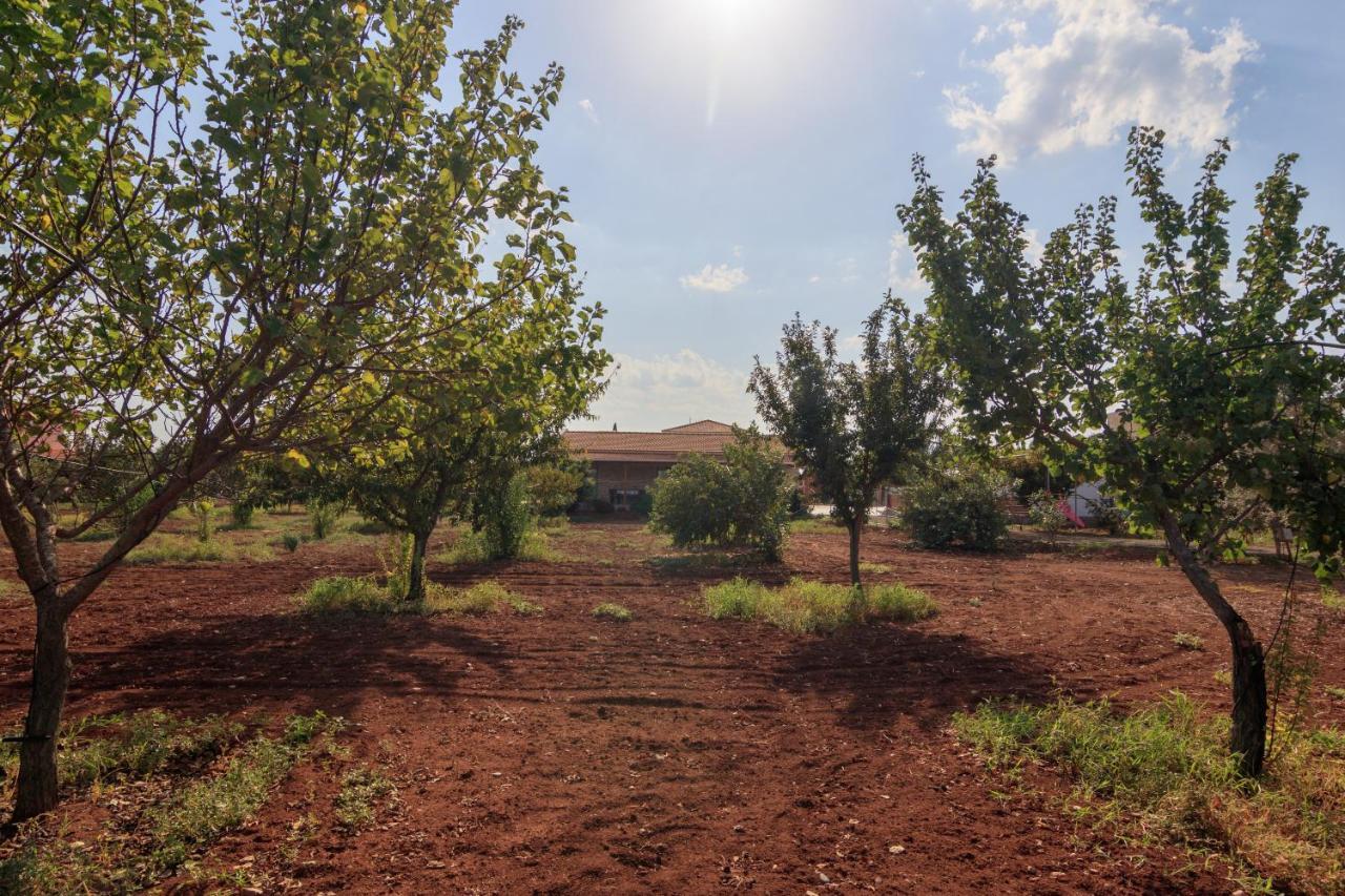 Berryrose Villa Pervolia Exterior foto