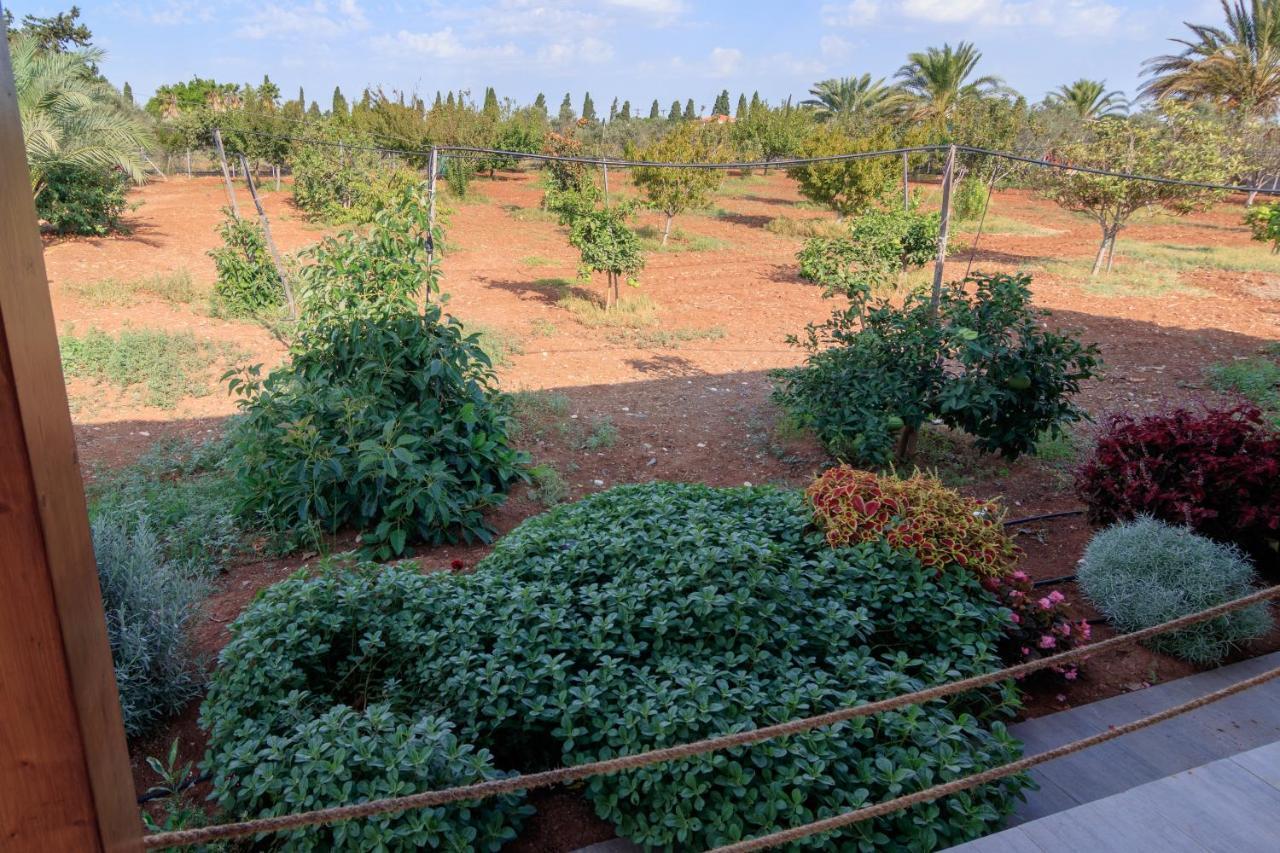 Berryrose Villa Pervolia Exterior foto