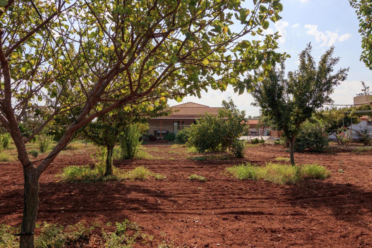Berryrose Villa Pervolia Exterior foto